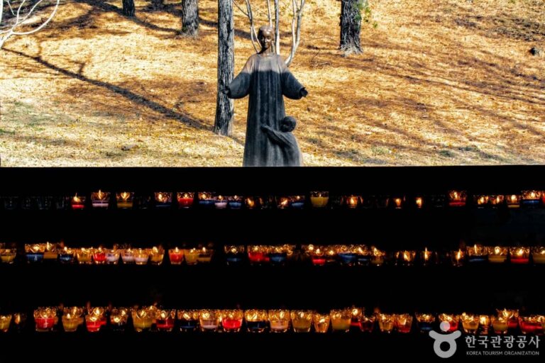 [예스키즈존] 남양성모성지