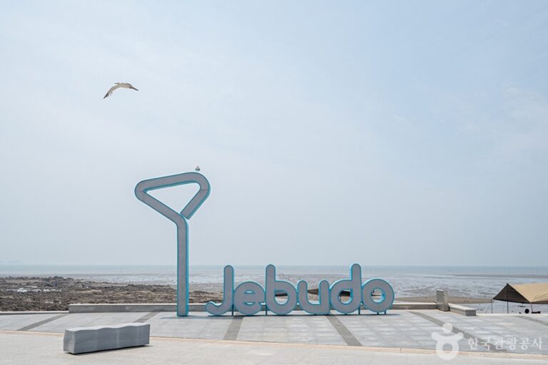 [예스키즈존] 제부도 매바위