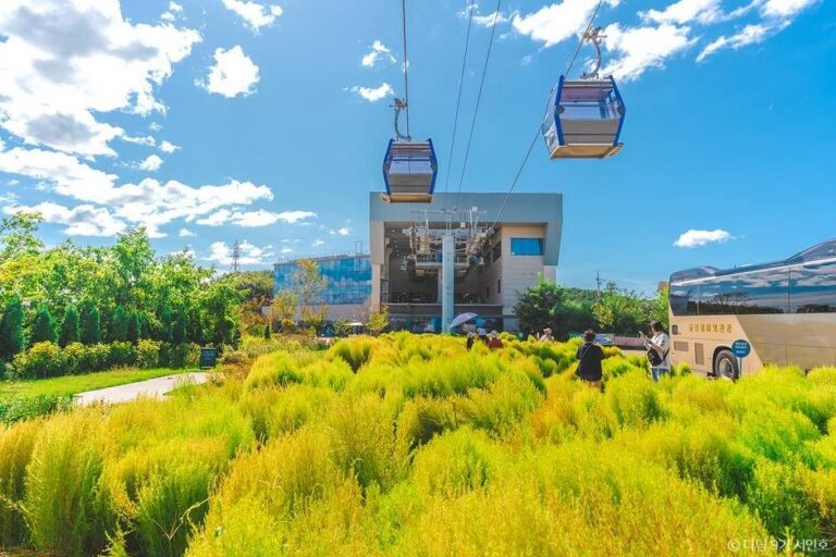 [예스키즈존] 서해랑 제부도 해상케이블카
