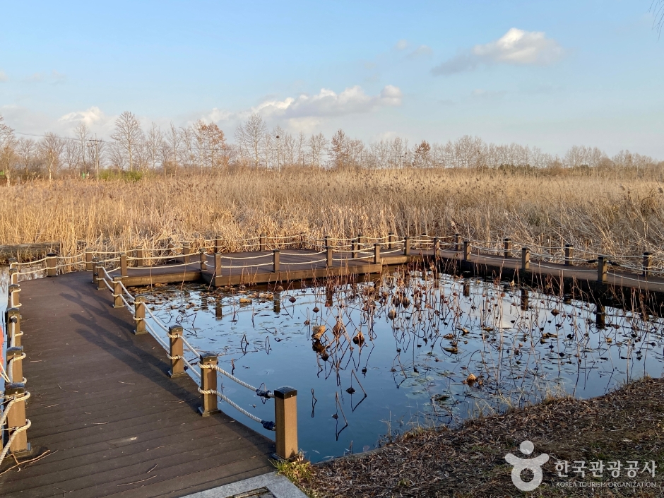 yeskids 1774471470 317 예스키즈존 탐험대 : 실패 없는 육아여행