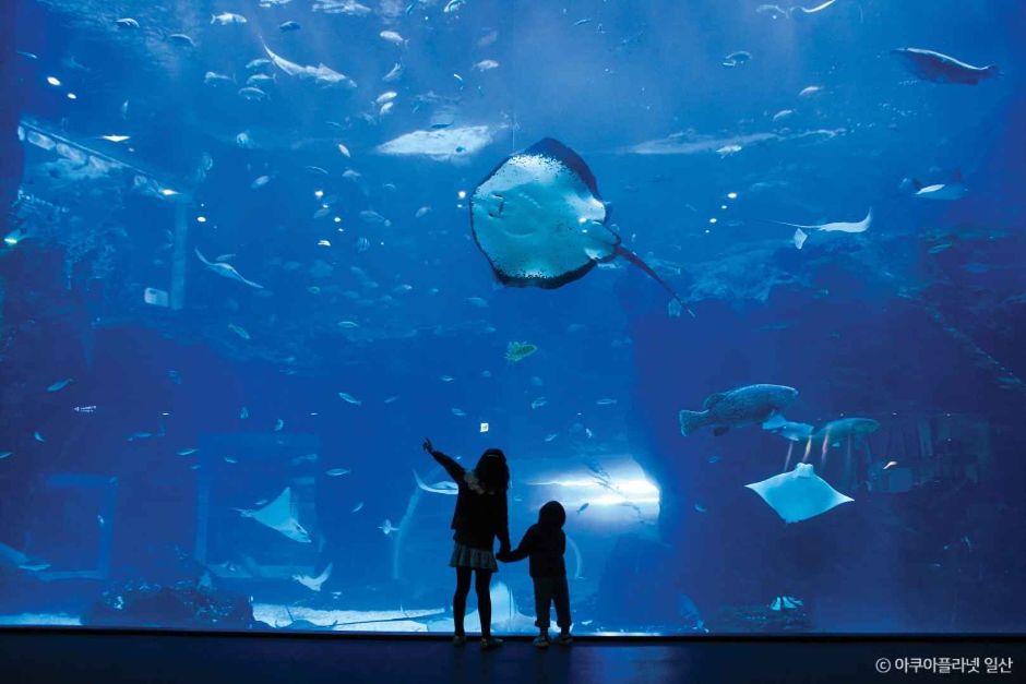 yeskids 1774471733 745 예스키즈존 탐험대 : 실패 없는 육아여행