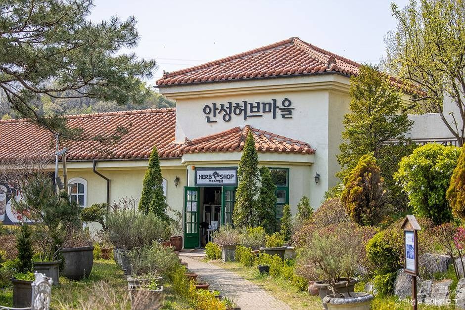 yeskids 1774471790 532 예스키즈존 탐험대 : 실패 없는 육아여행