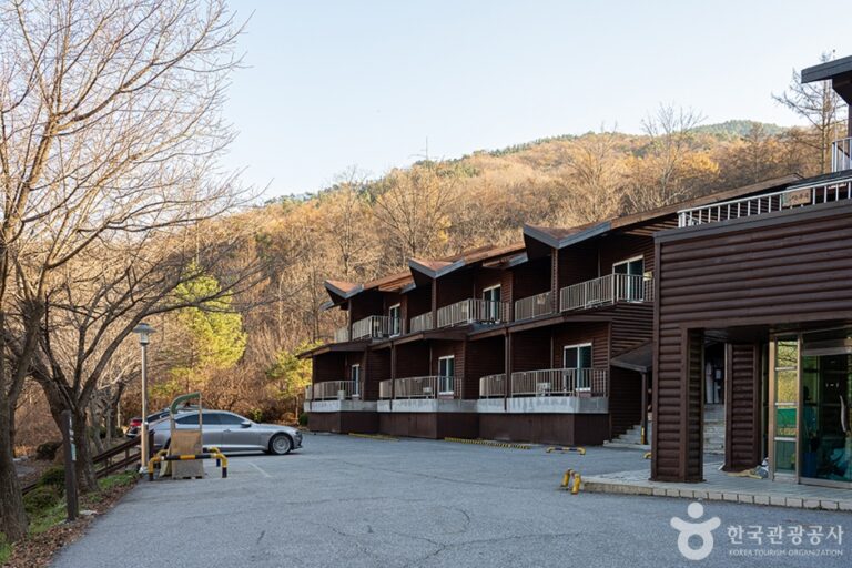 [예스키즈존] 국립 유명산자연휴양림