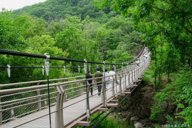 [예스키즈존] 재인폭포 출렁다리