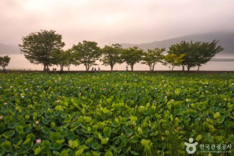 [예스키즈존] 세미원