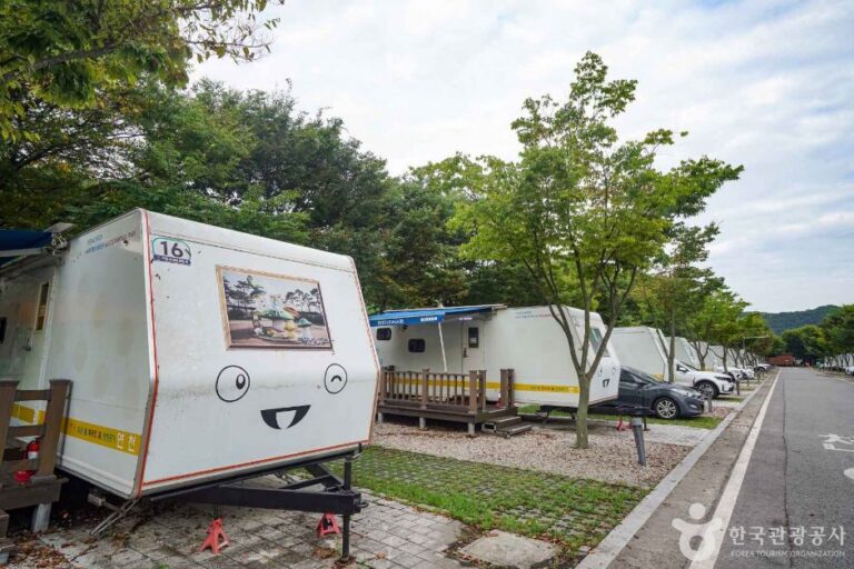 [예스키즈존] 한탄강 관광지