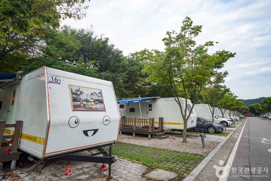 yeskids 1774471992 698 예스키즈존 탐험대 : 실패 없는 육아여행