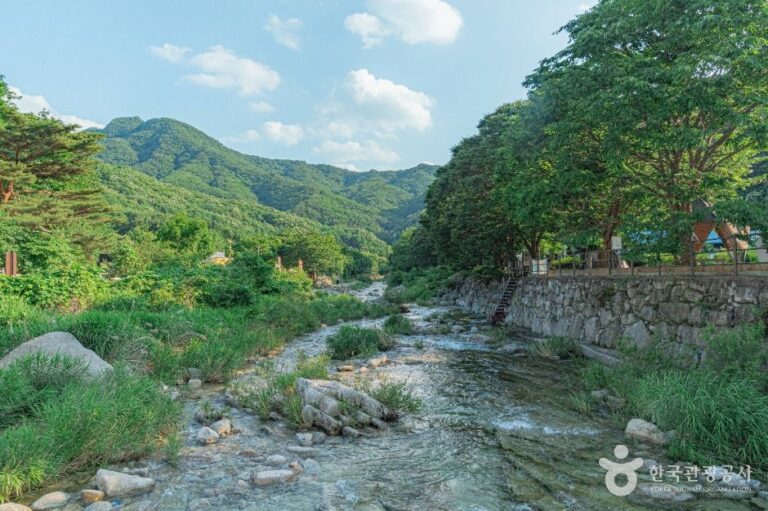 [예스키즈존] 백운계곡 (한탄강 유네스코 세계지질공원)