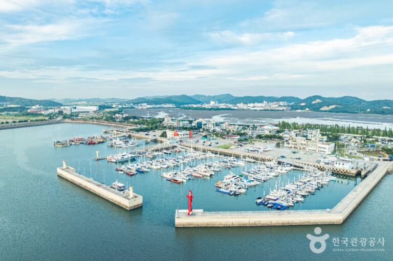 [예스키즈존] 전곡항