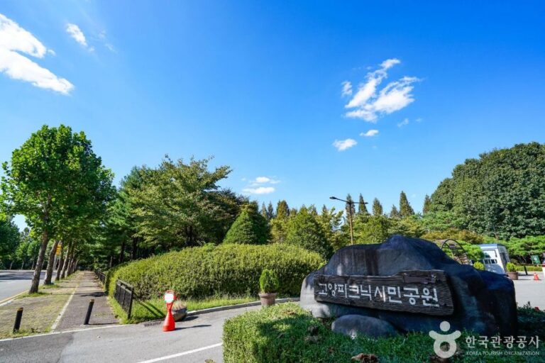 [예스키즈존] 고양 피크닉시민공원