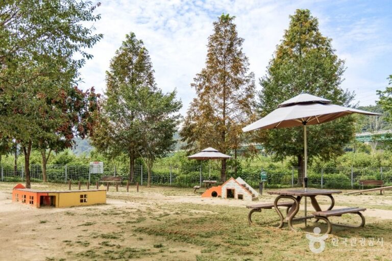[예스키즈존] 기흥레스피아호수공원 반려동물놀이터