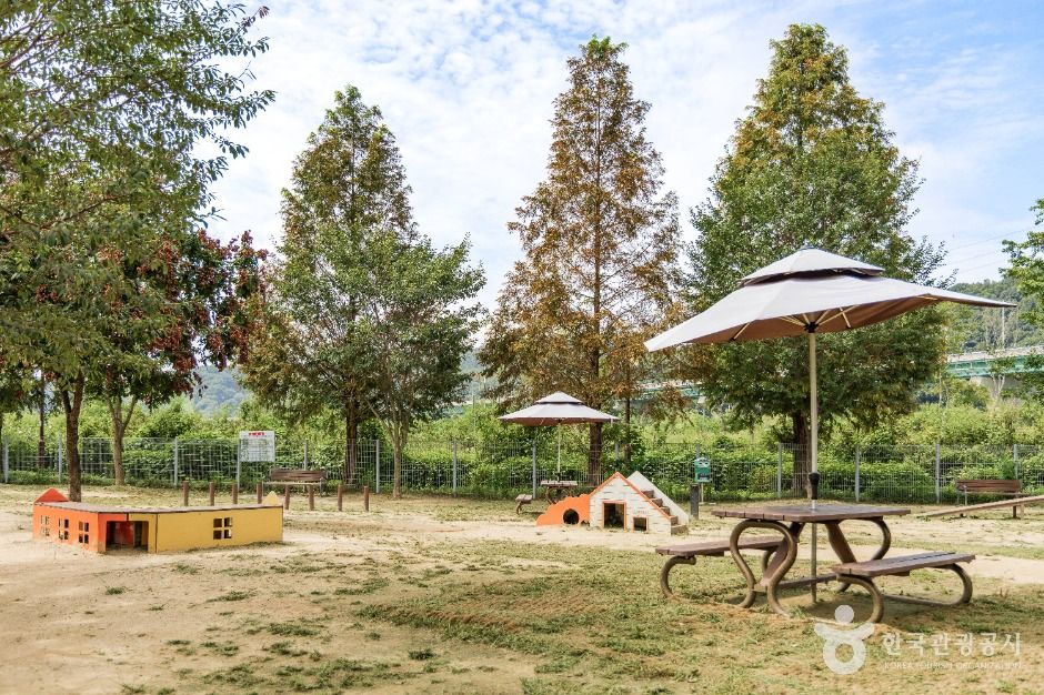 yeskids 1774472284 669 예스키즈존 탐험대 : 실패 없는 육아여행