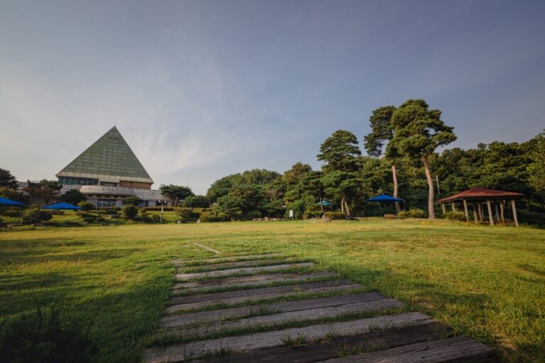 [예스키즈존] 평택호예술공원