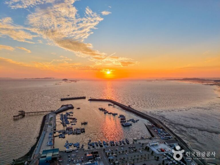 [예스키즈존] 궁평항