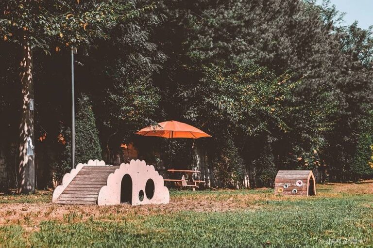 [예스키즈존] 태산패밀리파크