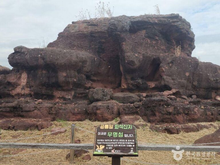 [예스키즈존] 화성 고정리 공룡알 화석산지