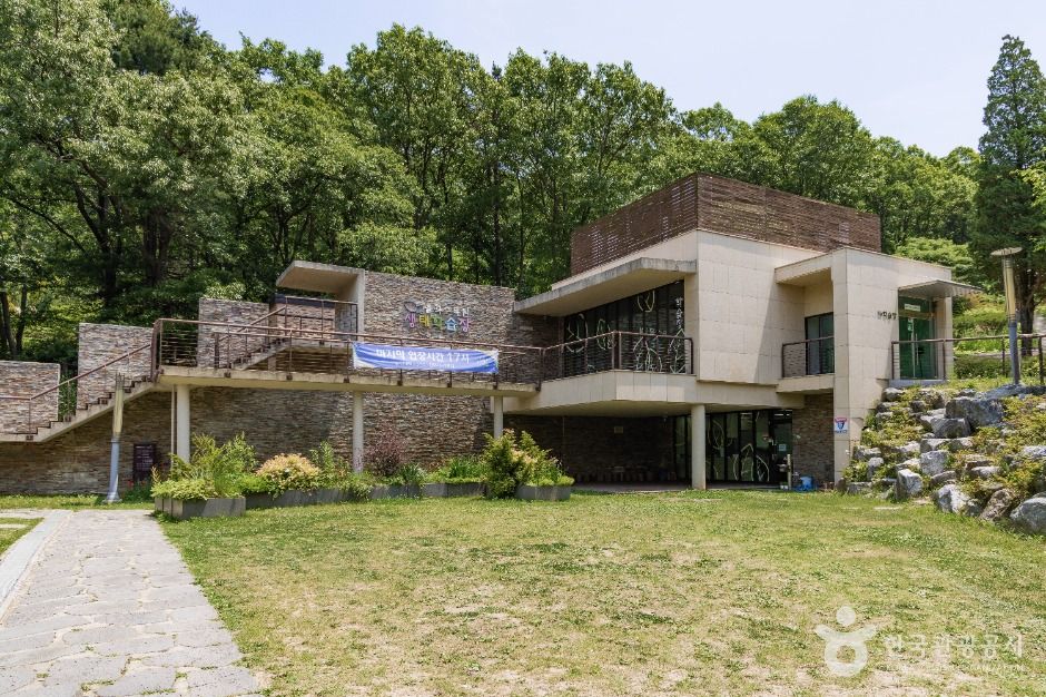 yeskids 1775162518 805 예스키즈존 탐험대 : 실패 없는 육아여행