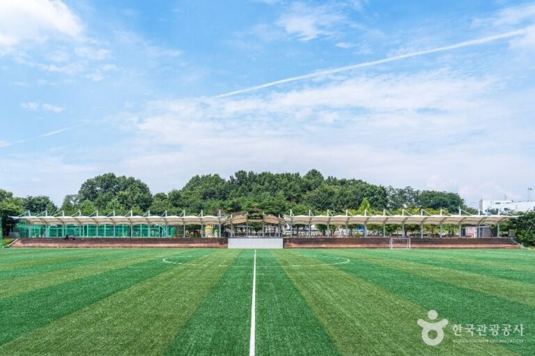 [예스키즈존] 포승레포츠공원