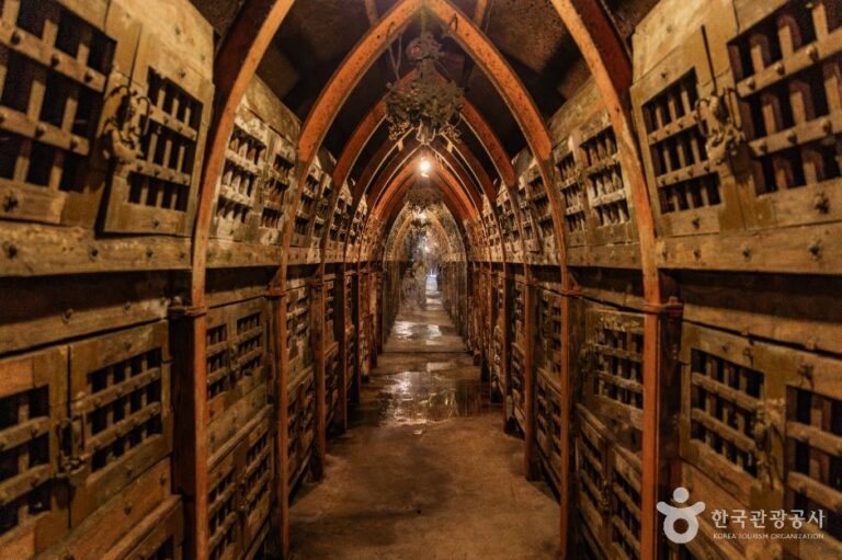 [예스키즈존] 산머루농원