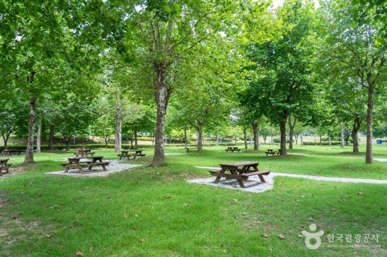 [예스키즈존] 금은모래강변공원