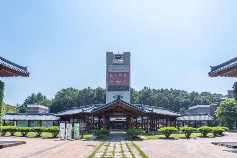 [예스키즈존] 여주도자세상