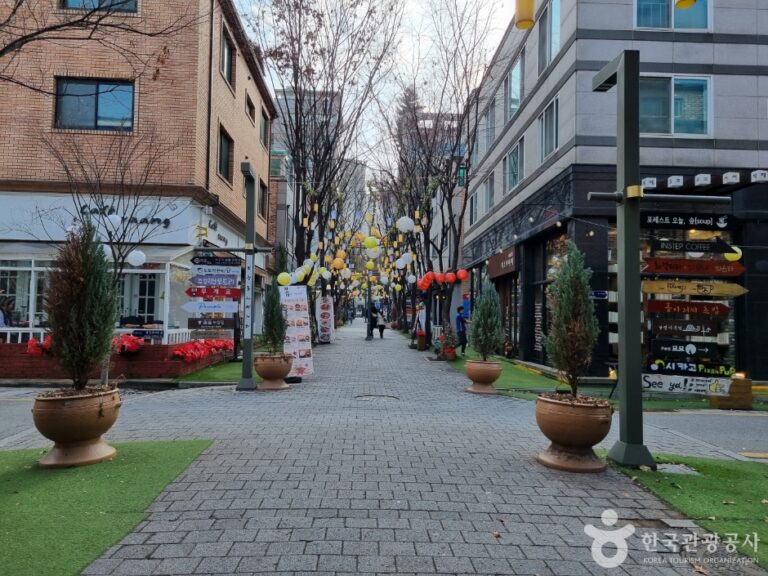 [예스키즈존] 보정동카페거리