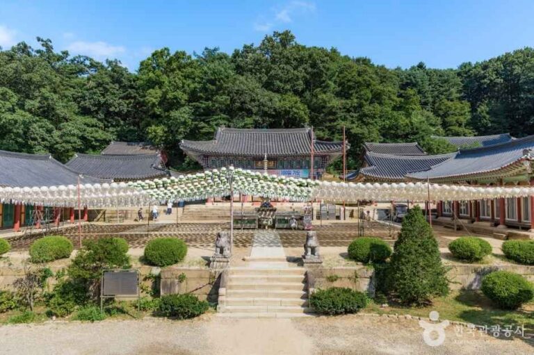 [예스키즈존] 봉선사(남양주)