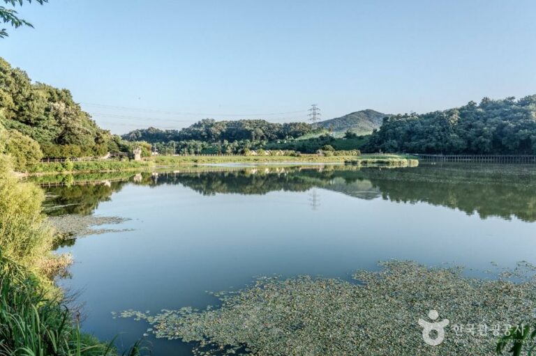 [예스키즈존] 중대물빛공원