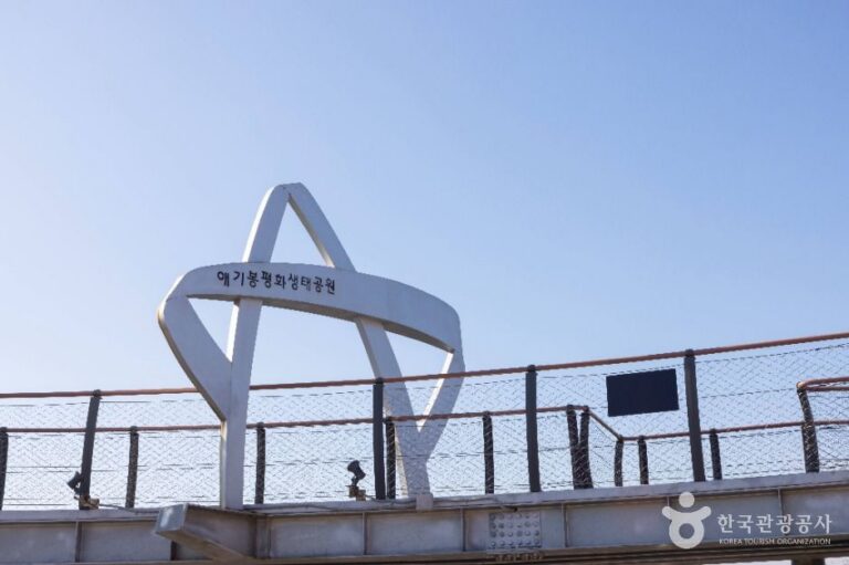 [예스키즈존] 애기봉평화생태공원