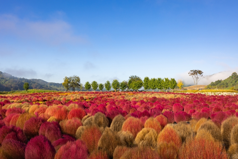 yeskids 1775163558 333 예스키즈존 탐험대 : 실패 없는 육아여행