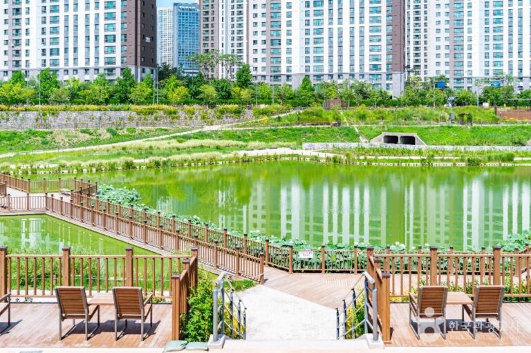 [예스키즈존] 새빛공원