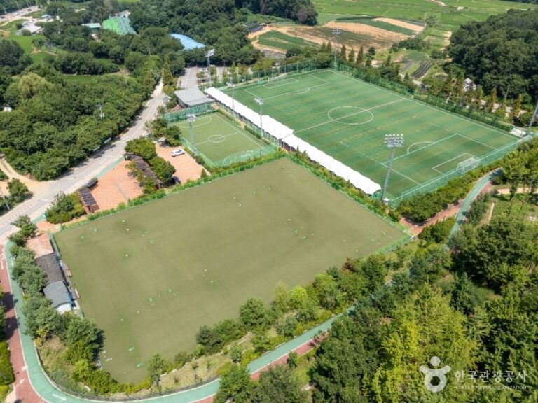 [예스키즈존] 안중레포츠공원