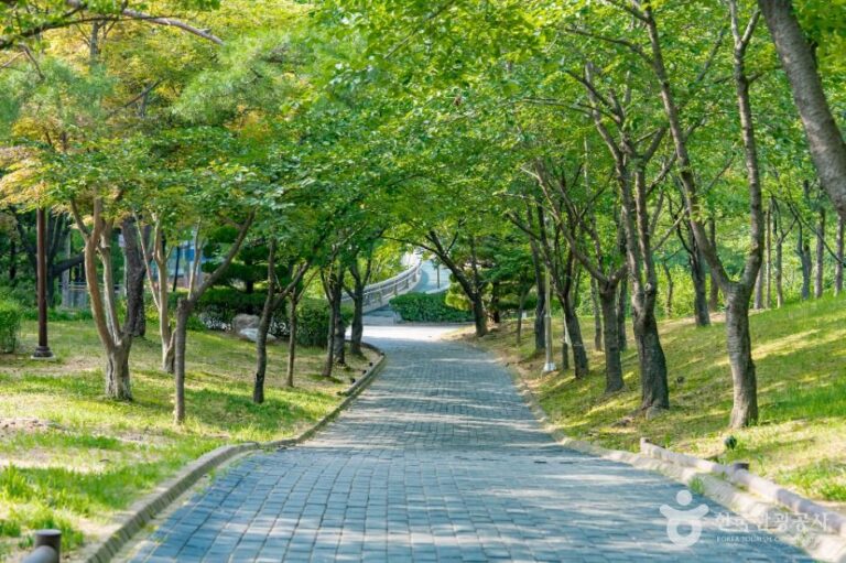 [예스키즈존] 비둘기공원