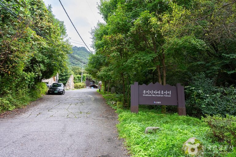 [예스키즈존] 국립 운악산자연휴양림