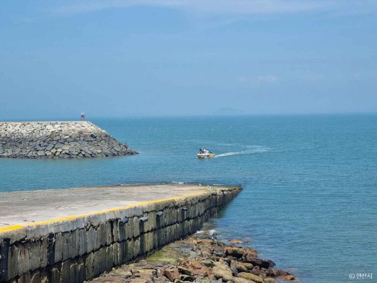 [예스키즈존] 방아머리선착장