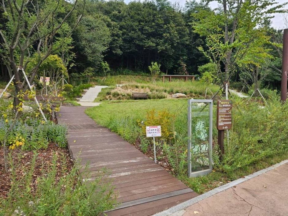 yeskids 1775163975 817 예스키즈존 탐험대 : 실패 없는 육아여행