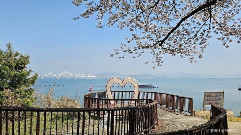 [예스키즈존] 평택호관광단지