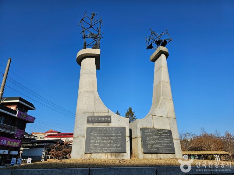 [예스키즈존] 신륵사관광지