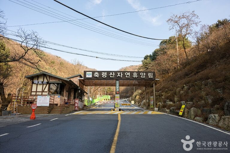 [예스키즈존] 축령산자연휴양림