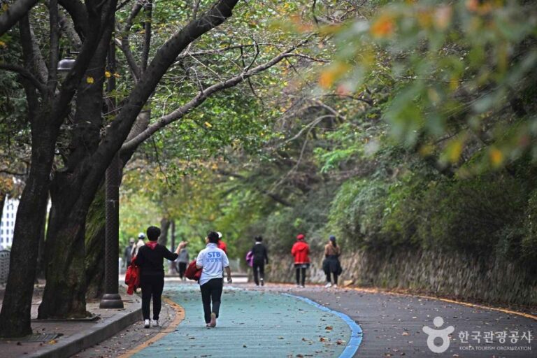 [예스키즈존] 팔달공원