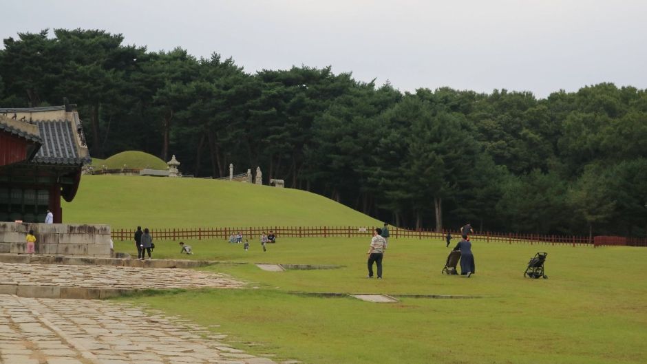 yeskids 1775164287 271 예스키즈존 탐험대 : 실패 없는 육아여행