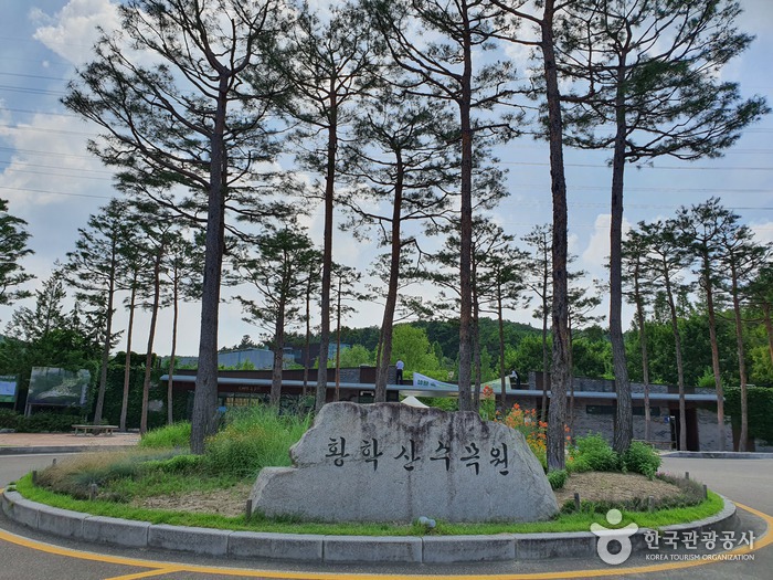 yeskids 1775164319 432 예스키즈존 탐험대 : 실패 없는 육아여행