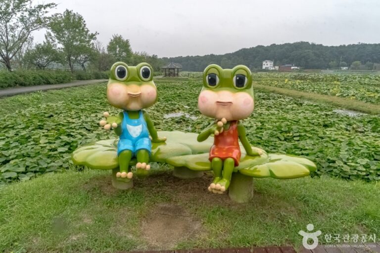 [예스키즈존] 내동마을 연꽃단지