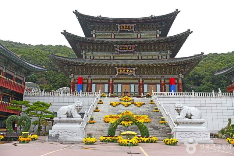 [예스키즈존] 대광사(성남)