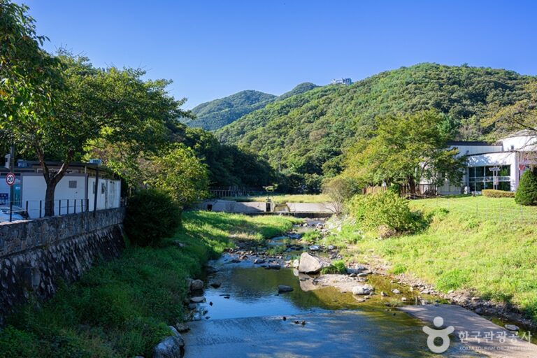 [예스키즈존] 장흥관광지