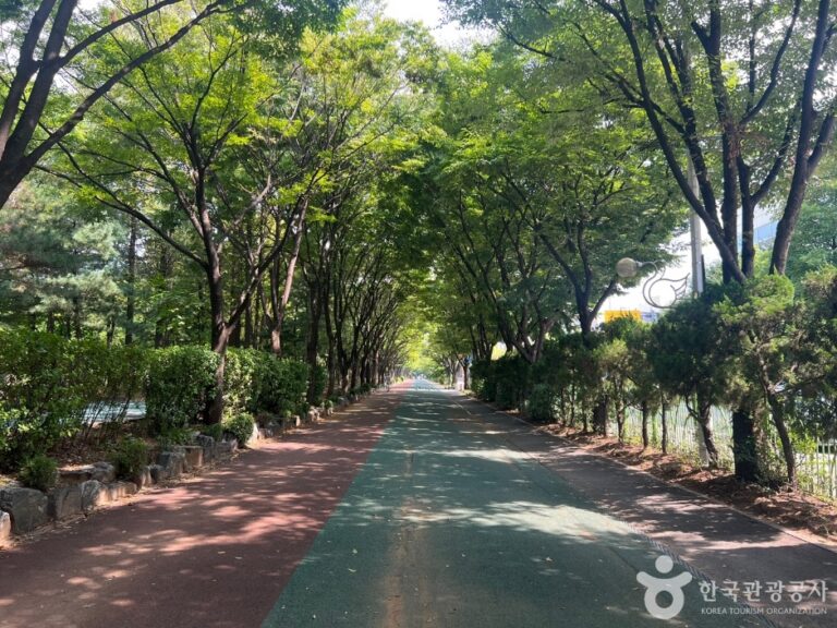 [예스키즈존] 부천 중앙공원