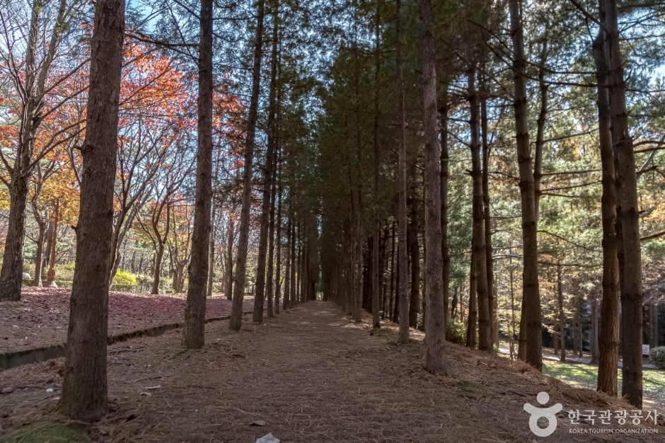 yeskids 1775248459 401 예스키즈존 탐험대 : 실패 없는 육아여행