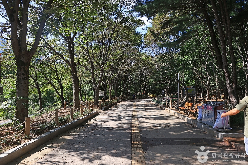 yeskids 1775248513 144 예스키즈존 탐험대 : 실패 없는 육아여행