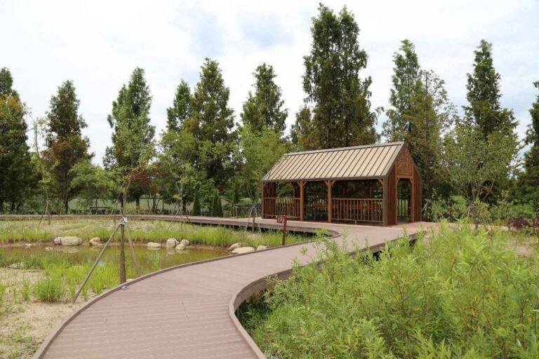 [예스키즈존] 일월수목원