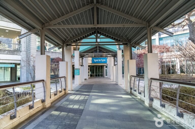 [예스키즈존] 스파라스파 (곤지암리조트)